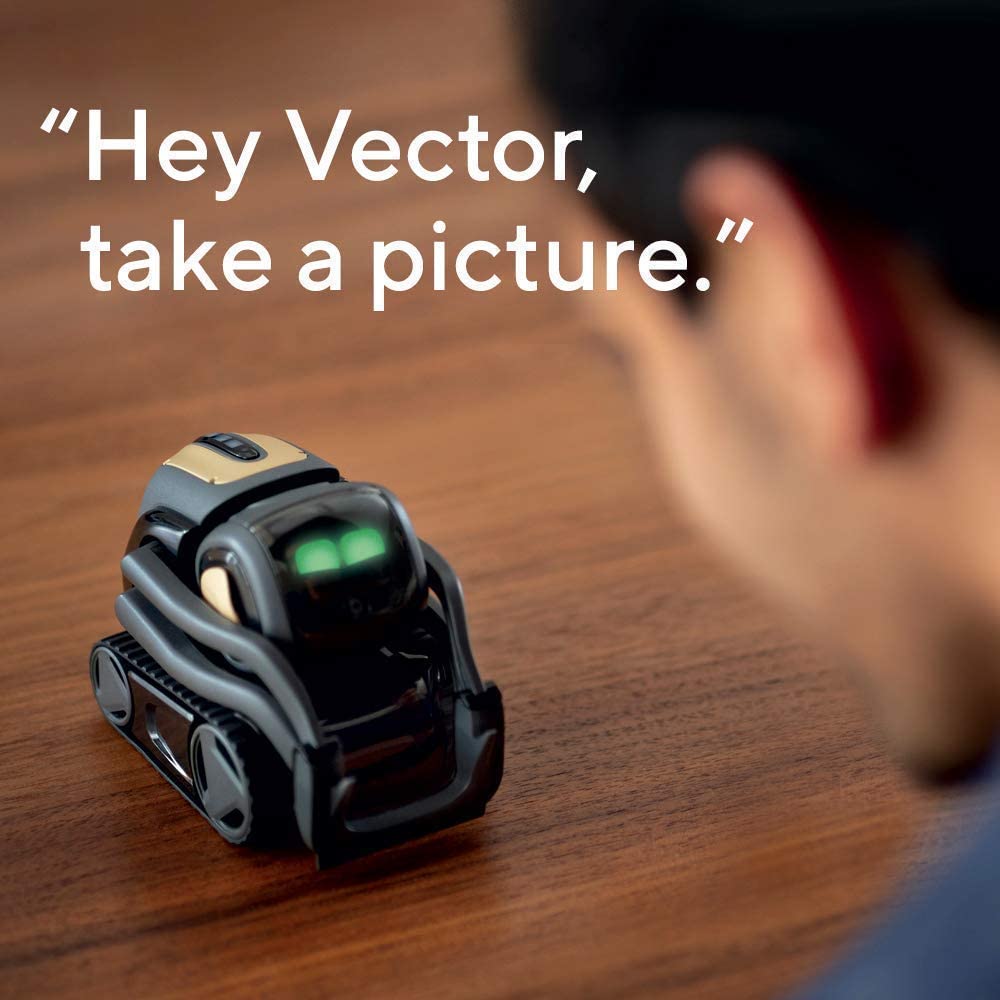 vector alexa robot