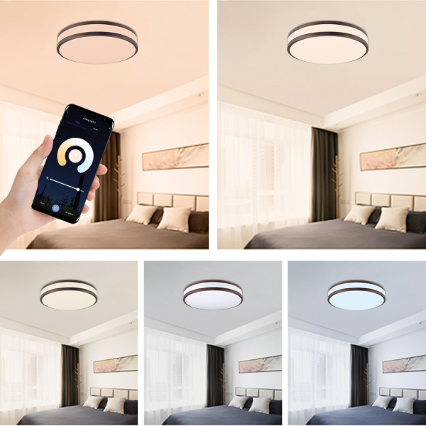 2700-6500K Adjustable WIFI Smart LED Ceiling Light -APP /Vioce Control -Work with Amazon Alexa, Google Assistant