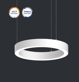 400mm 600mm 800mm Circle LED Architecture Linear Light  Pendant Light CE, CE,SAA  Rohs ETL, DLC