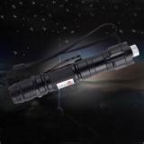 5mw 650nm猫のおもちゃレーザーポインター