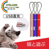 猫用レーザー指示棒
