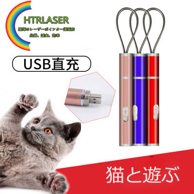 猫用 激安レーザー指示棒 USB充電 照明可能　レッドレーザーポインター＋LED懐中電灯＋偽札鑑別電灯付