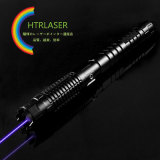 高出力レーザーポインターカラス対策