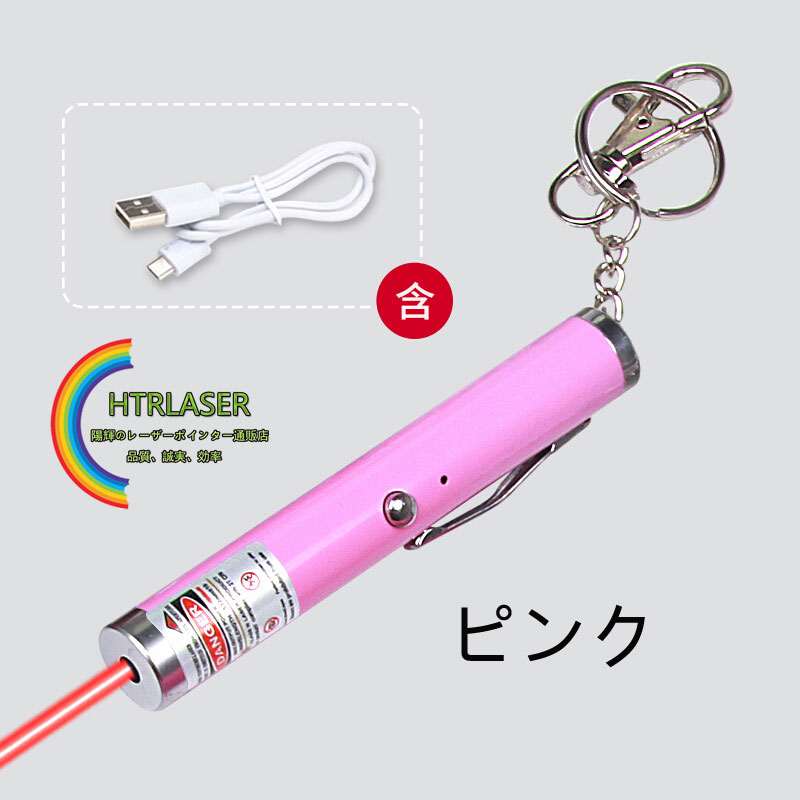 卸売り可激安価格 レーザーポインターペンフォルダー付きキーホルダー