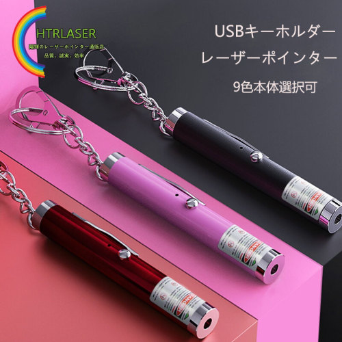 キーホルダータイプミニレーザーポインター 5mW赤色 緑色レーザー 携帯便利 9色本体  ペンフォルダー付き 猫じゃらし カラス対策 クラスIIレーザー 激安価格  卸売り可