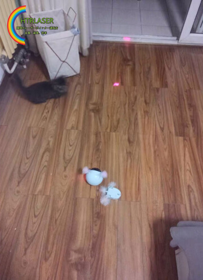 レッドレーザー猫用