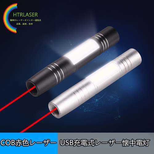 1000mw 650nm レッドレーザーポインターLED搭載レーザー懐中電灯 USB充電式 カラス撃退 猫用レーザー