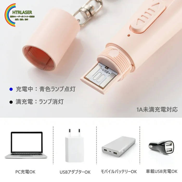 LEDポインタ ねこ用 おもちゃ USB式 垢色ポインタ 紫色光 白色光