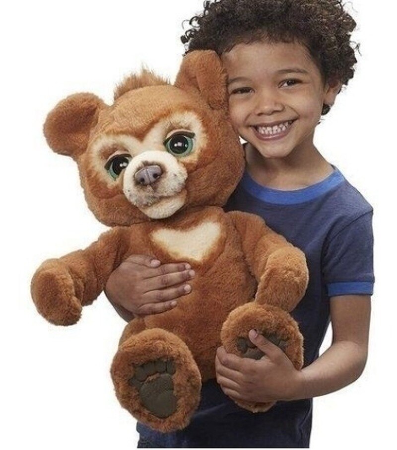 the curious bear interactive