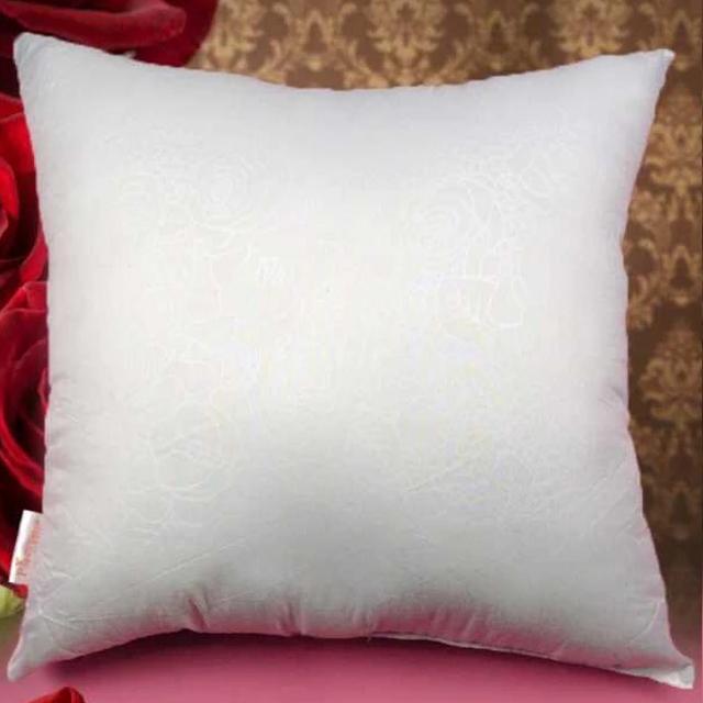 White Pillow Core
