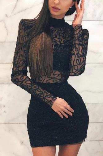 High Neck  Decorative Lace See-Through  Shimmering Powder Bodycon Dresses