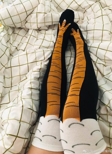 Winter Autumn Women 3D Print Socks Thigh High Sock Fashion Cute Ladies Thin Toe Feet Socks Cosplay