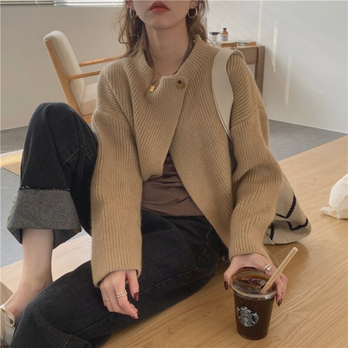 Women Solid Thick Knitted Casual Knitwear