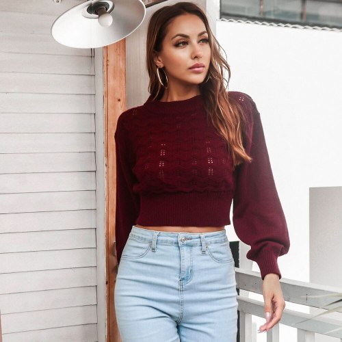 O Neck Knitted Crop Top Women Casual Sweater Lantern Sleeve Autumn Winter Fashion Pullovers Tops Femme 2021 Sexy