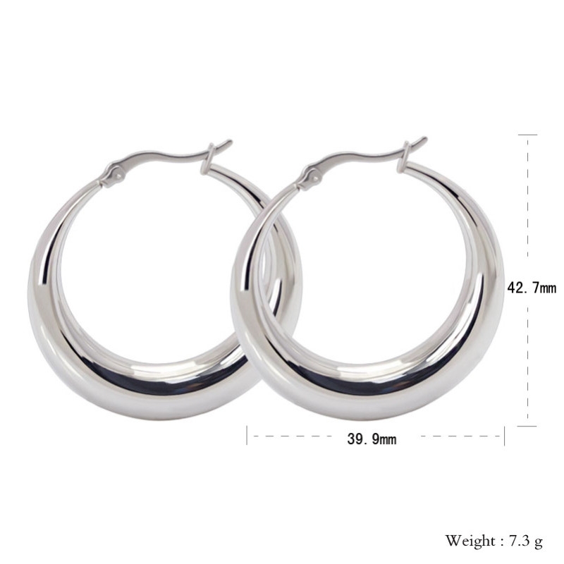 Stainless Steel Hoop Earrings Accessorize