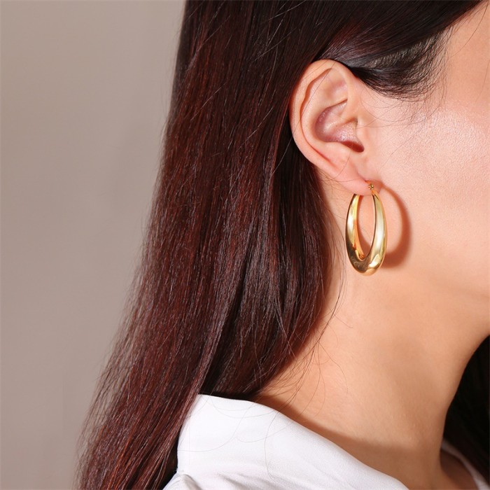 Stainless Steel Hoop Earrings Accessorize