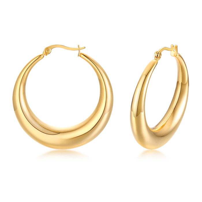 Stainless Steel Hoop Earrings Accessorize