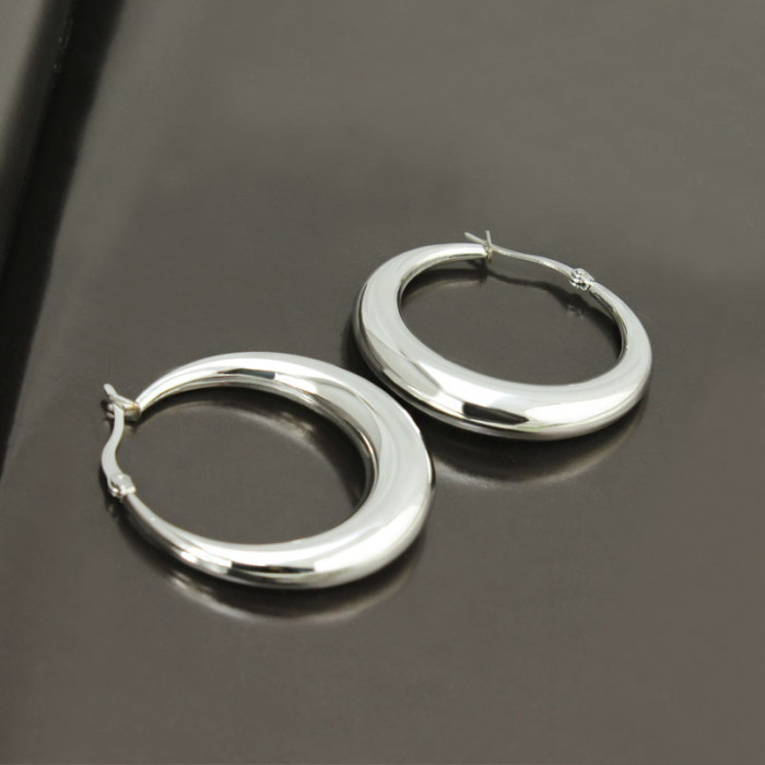 Stainless Steel Hoop Earrings Accessorize