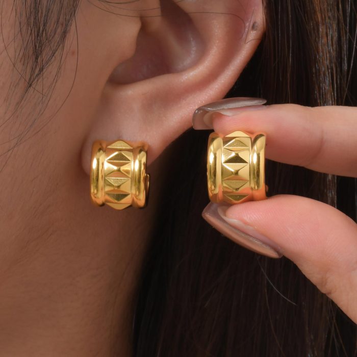 Wholesale Stainless Steel Fashion Premium Earrings
