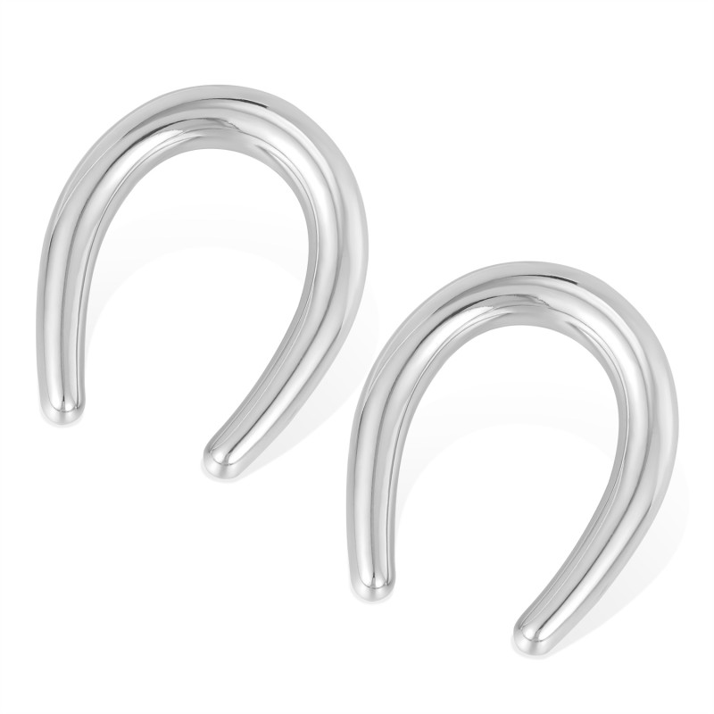 Wholesale Stainless Steel Fashion Niche Earrings