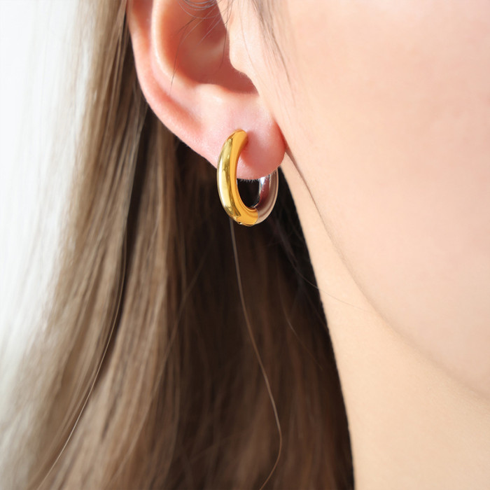 Wholesale Stainless Steel Two Tone Earrings