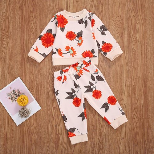 Baby Boys Clothes Sets Flowers Print Long Sleeve Pullover Sweatshirts Tops Pants