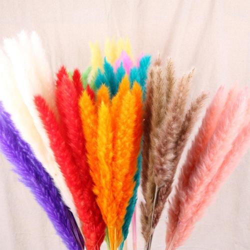 7Pcs Bulrush Natural Dried Flowers Small Pampas Grass Phragmites Artificial Plants DIY Fake Flower Bunch Wedding Home Decoration