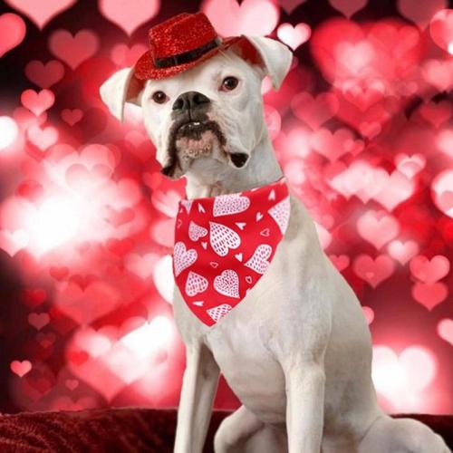 Cat Dog Bandana Valentine's Day Pet Bibs Scarf Adjustable Pet Neckerchief Scarf Waterproof Saliva Towel For Small Medium Dogs