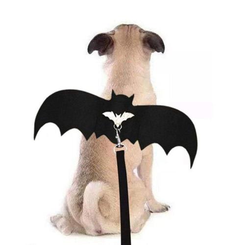 Halloween Pet Dog Cat Bat Wing Cosplay Prop Halloween Bat Fancy Dress Costume Outfit Wings Cat Funny Costume Supplies M