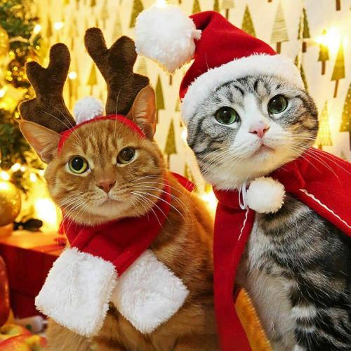 Christmas Pet Dog Cat Santa Red Scarf Cap Cloak Headband Pet Dog Winter Christmas Party  New Year Clothes Cosplay Costume Gift
