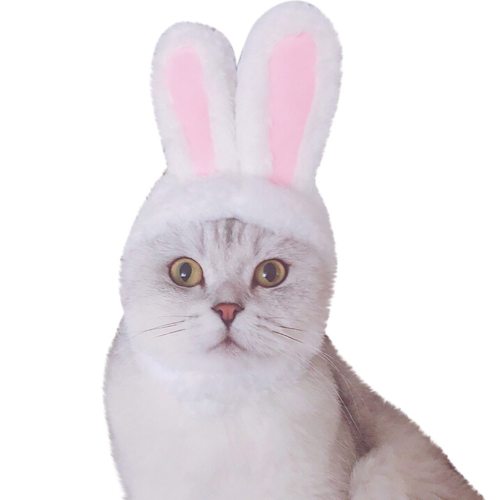 Pet Hat Cat Clothes Bunny Rabbit Ears Hat Pet Cat Cosplay Clothes For Cat Costumes Dogs Kitten Party Costume gatos accesorios
