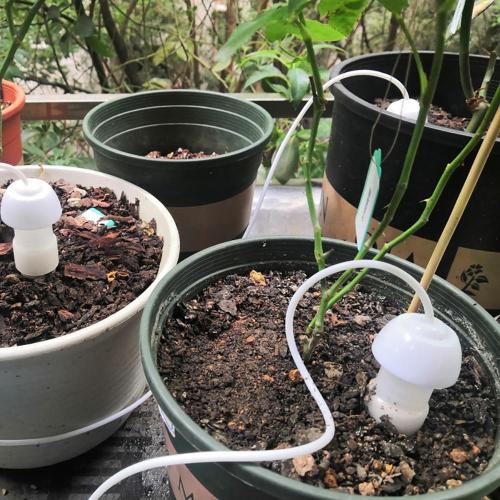 6Pcs DIY Automatic Drip Irrigation System Plants Flowers Self Watering Spiked Drip Device Water Bottle Drip Irrigation Kits