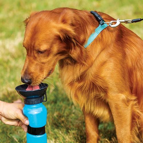 500ML New Pet Dog Water Bottle Portable Drinking Water Feeder For Outdoor Dogs Travel Water Bottle Dogs Water Bowl Pet Supplies