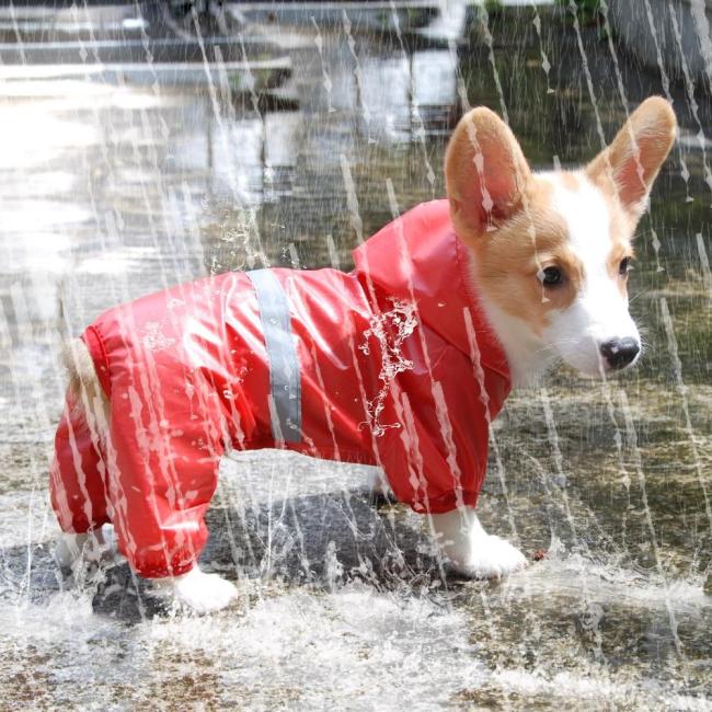 Pet Dog Waterproof Raincoat Jumpsuit Reflective Rain Coat Breathable Mesh Dog Outdoor Clothes Jacket for Small Dog Pet Supplies