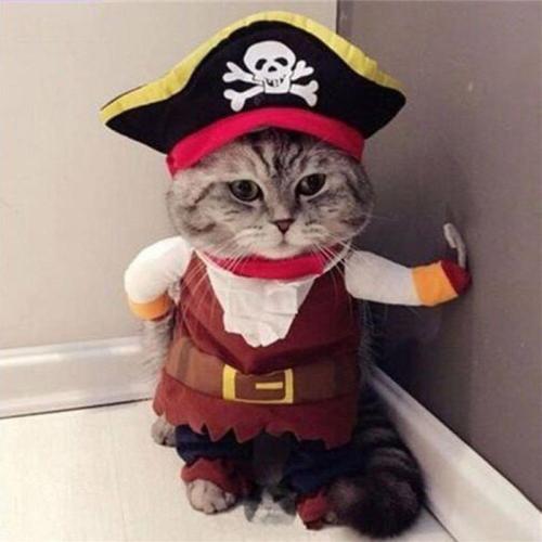Funny Pet Clothes Cosplay Pirate Dog Cat Party Cute Costume Clothing Comfort For Small Medium Dog