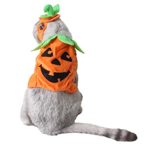 Halloween Party Pet Pumpkin Costume For Dogs Cats Clothes For Small Dogs Coats Jackets Funny Dressing Cosplay