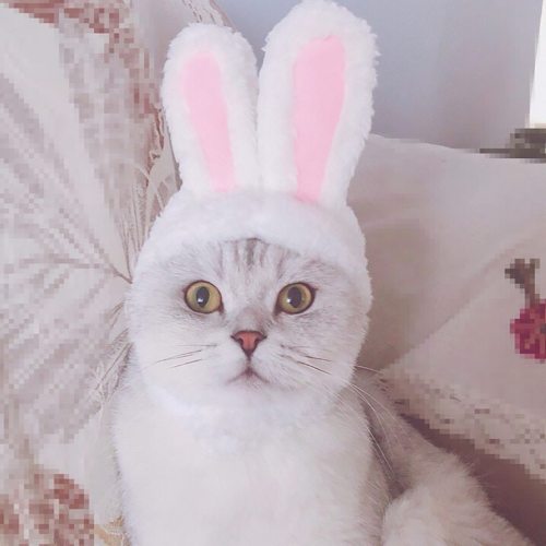 Pet Hat Cat Clothes Bunny Rabbit Ears Hat Pet Cat Cosplay Clothes For Cat Costumes Dogs Kitten Party Costume gatos accesorios