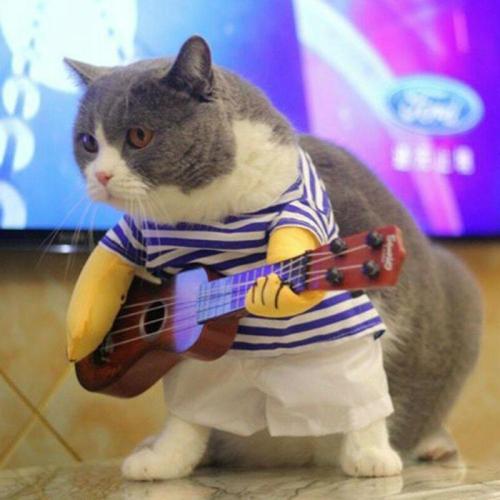 Pet Guitar Player Cosplay Dog Cat Costume Guitarist Dressing Up Party Xmas New Year Clothes For Dog Cats Costume