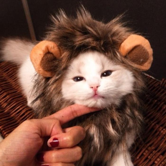 Cute Pet Costume Cosplay Lion Mane Wig Cap Hat for Cat Halloween Christmas Clothes Fancy Dress with Ears cat Clothes
