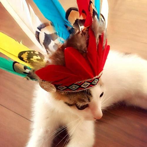 Ethnic Cat Costumes  Pet Indians Style Feather Headgear Hat Costume Festival Cosplay For Cats