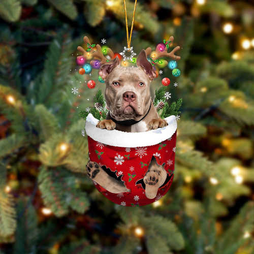 American Bully In Snow Pocket Christmas Ornament