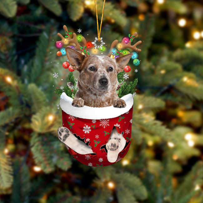 RED Heeler In Snow Pocket Christmas Ornament