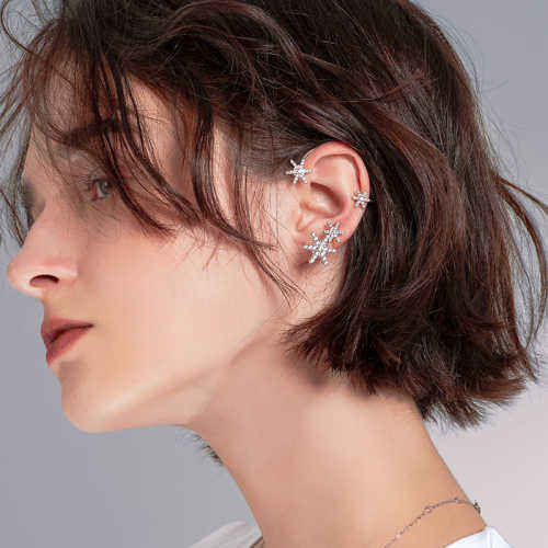 Pre-Sale>>Idearock™Snowflake Earrings