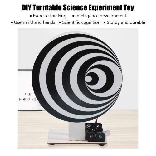 [This is too much fun😝] DIY Duchamp Turntable Electric Handmade Assemble Toys