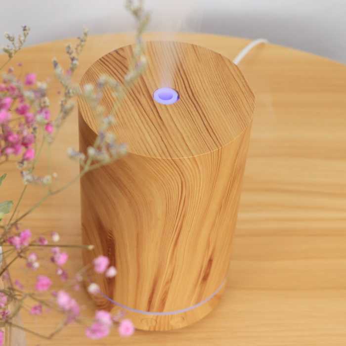Night Light Wood Grain Humidifier