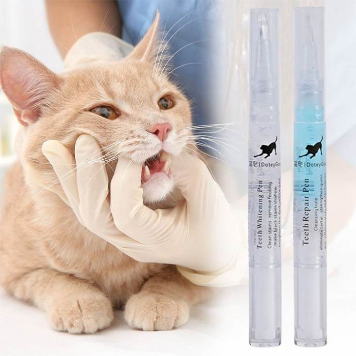 💖Natural Plant Substance - Cat & Dog Teeth Repairing Kit