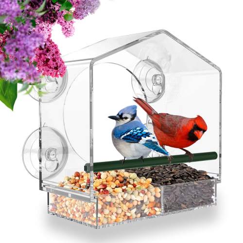 🔥Last Day Promotion-[SAVE 50% OFF]--Window Bird Feeder for Outside--BUY 2 GET 10% OFF & FREE SHIPPING NOW!