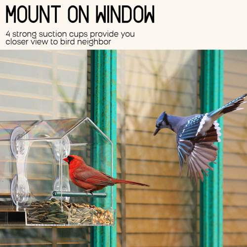 🔥Last Day Promotion-[SAVE 50% OFF]--Window Bird Feeder for Outside--BUY 2 GET 10% OFF & FREE SHIPPING NOW!