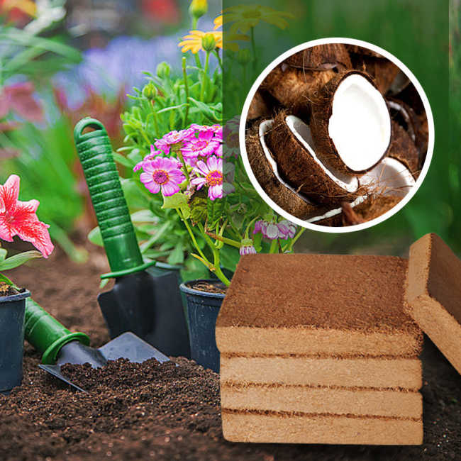 OFY@Organic Coconut Coir for Plants(50% OFF)