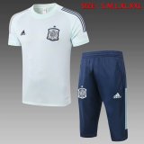 Mens Spain Short Training Suit Mint 2020/21